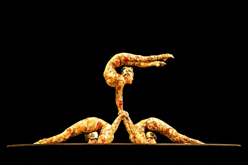 Cirque Du Soleil Kooza Review Contortionist 