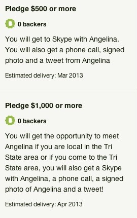 the angelina project copy
