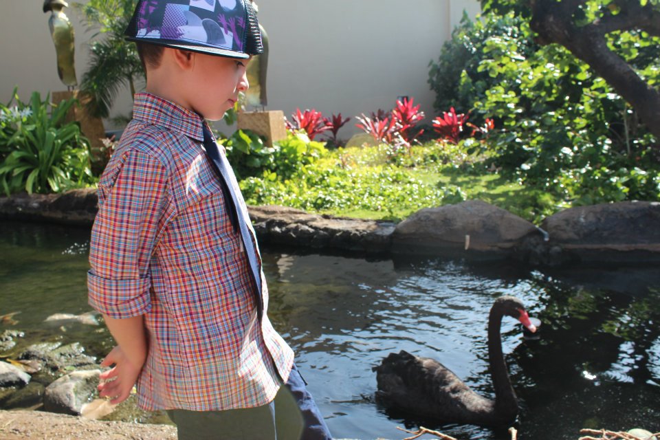 Hyatt Maui Black Swan