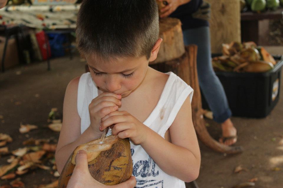 Maui Tropical Plantation- Maui Agriculture Tour