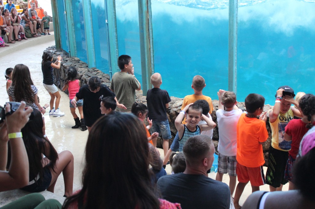 Oahu Sea Life Park Travel Kids Attractions Oahu