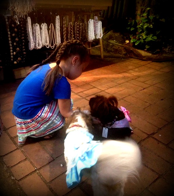 lainadogs