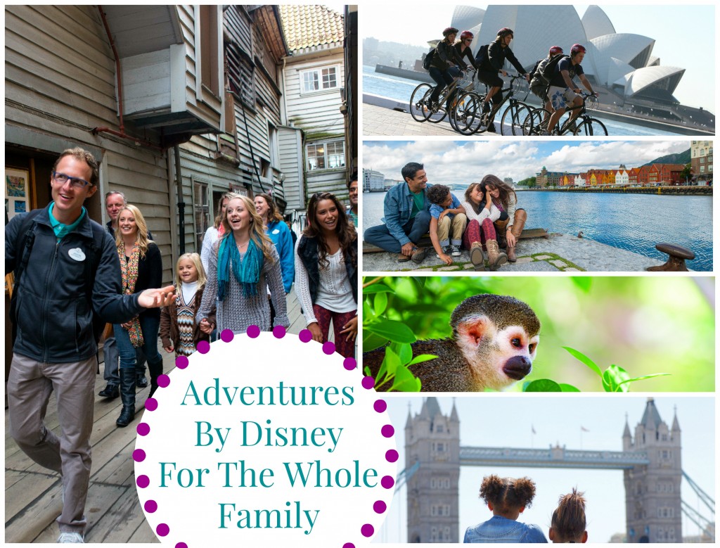 Family Adventures By Disney 2014 2015