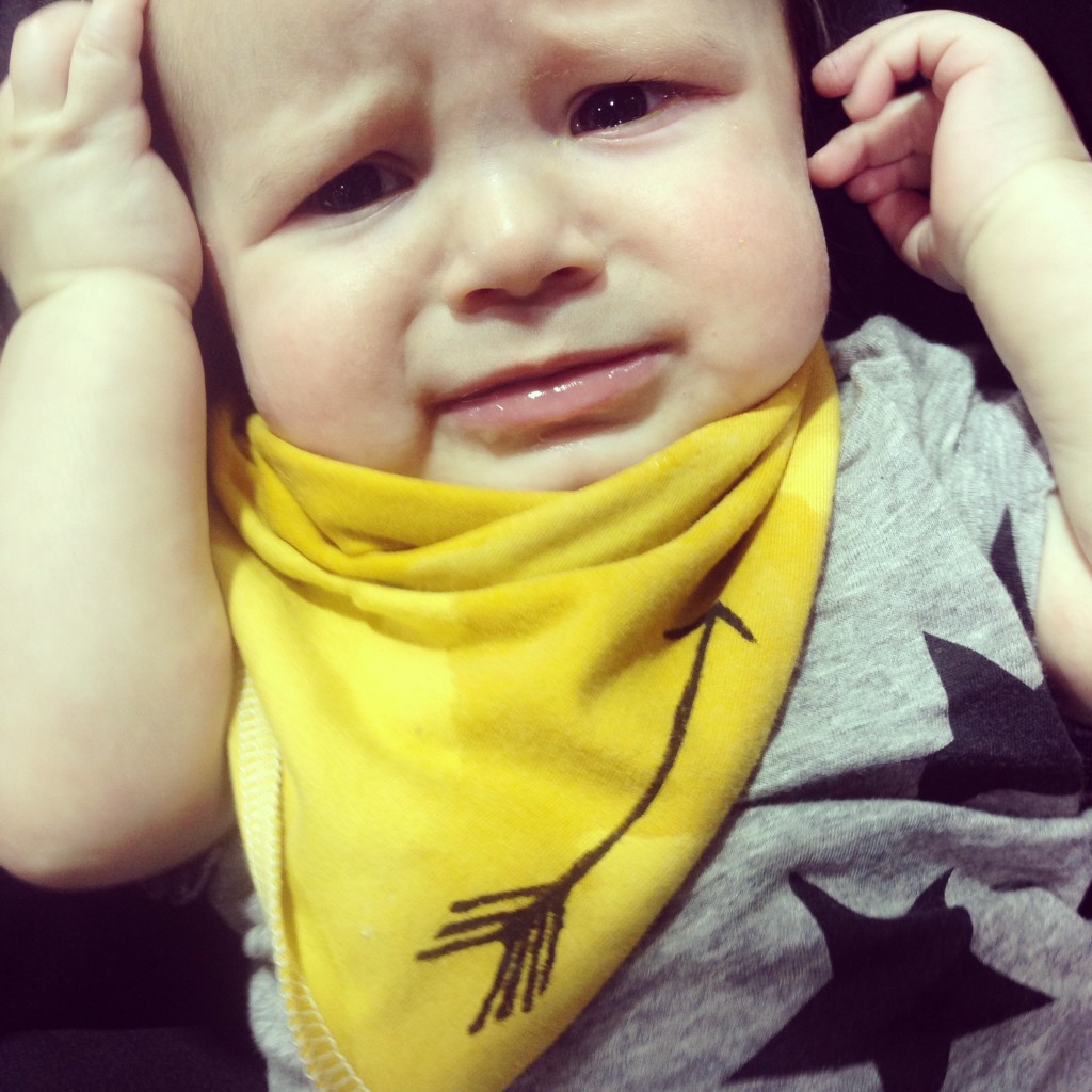 Bandana Bibs