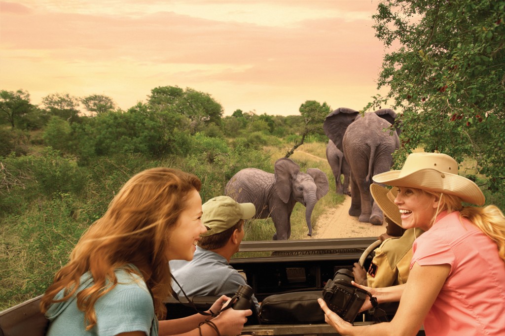 Safari_to_South_Africa