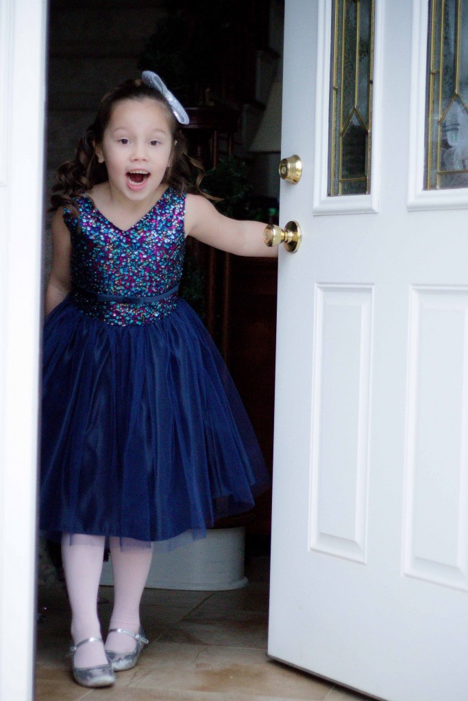 Pink Princess Navy Blue Tulle Party Dress Review-12